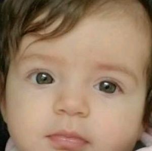 Meet your Posher, Bob